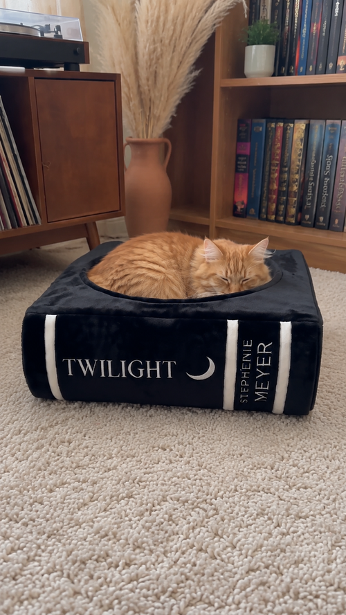 Book-Themed Pet Beds